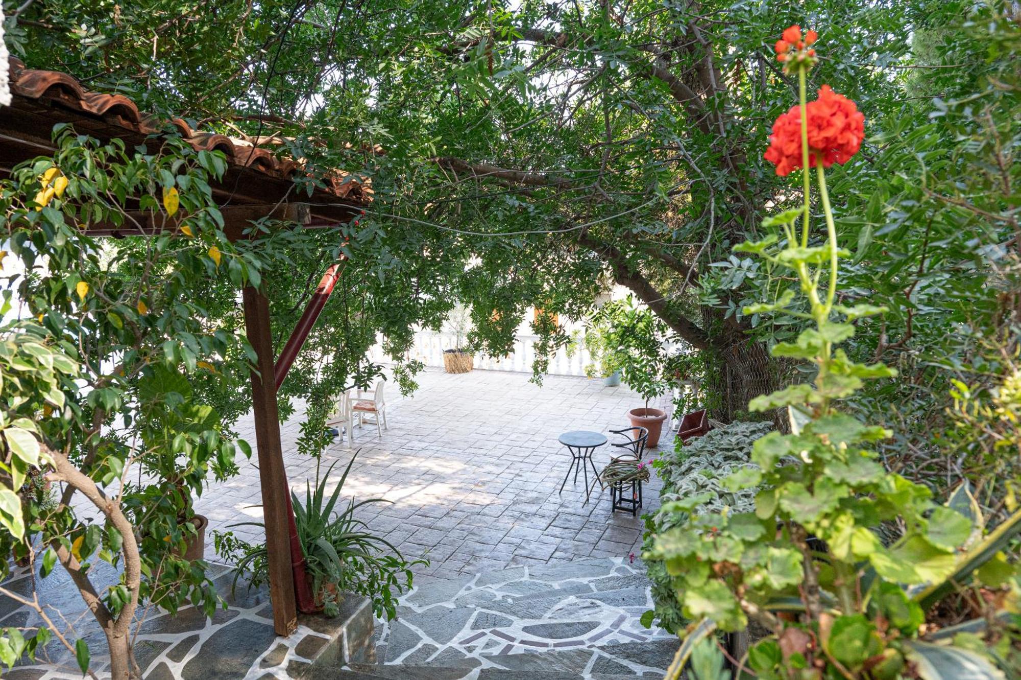 Lions 2 Studios & Apartments, Poros Island. Poros Town Екстериор снимка
